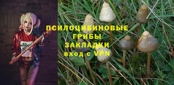 spice Алексеевка