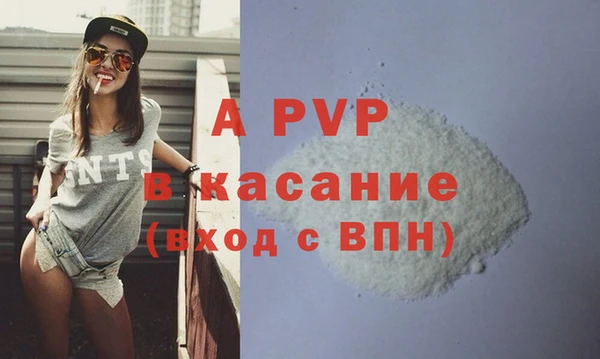 крисы Абаза