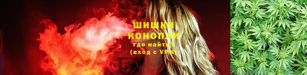крисы Абаза