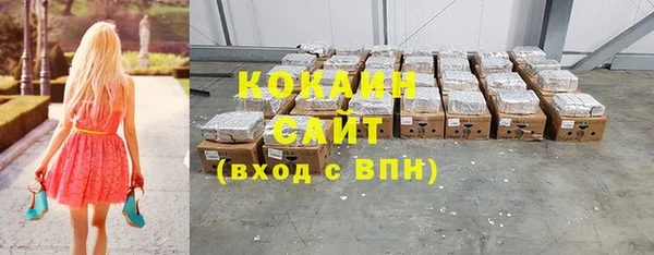 шишки Абинск