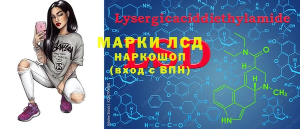 крисы Абаза