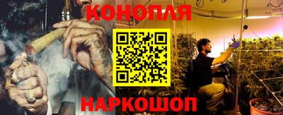 гашик Гусев