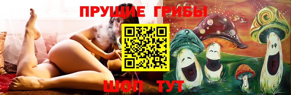 Новосибирск  купить наркотик  Вход с VPN  Псилоцибиновые грибы Psilocybe 